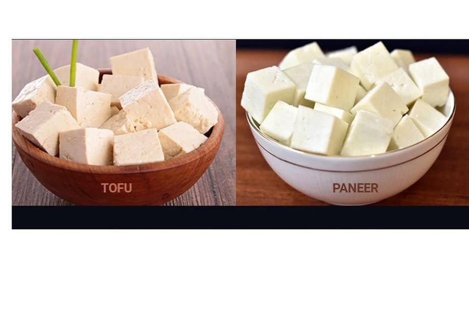 Tofu Vs Paneer
